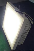 LED应急加油站灯 应急防爆灯