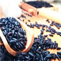 优质洋县紫米批发 养生八宝饭标准用米 原生态产地厂家直销1000g