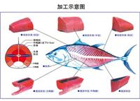 印尼金枪鱼进口报关清关的主体流程