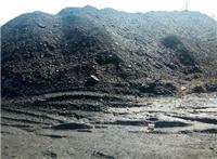 鸡西专业原矿煤矸石处理 煤矸石颗粒加工处理