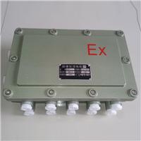 BJX51防爆接线箱 防爆配电箱定制厂家 隔爆型防爆电器箱