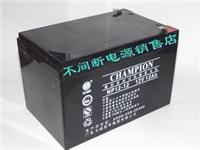 洛奇蓄电池12V38AH 尺寸/北京