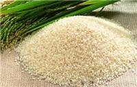 密山市粮米加工厂 水稻精细加工