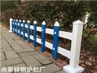 厂区锌钢护栏|喷塑锌钢护栏定制|各种颜色PVC草坪护栏现货—安平尚泉