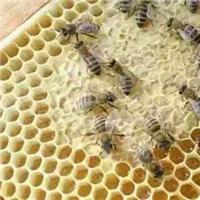 蜂巢蜜进口清关需要哪些费用