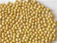 供应黑龙江优良品种黄豆大豆价格 绿色种植大豆