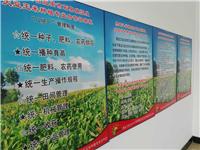 北安市大豆玉米种植销售