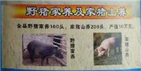 通河县大型野猪驯化养殖场