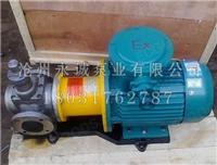 沧州永诚泵业YCB圆弧齿轮泵产品概述