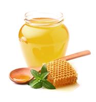 天津专业进口蜂蜜服务