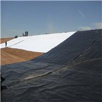 供应兰州HDPE土工膜|酒泉土工膜|防渗复合土工膜厂家