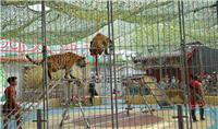 沧州市游乐园有动物园吗
