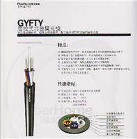 西安光缆 非金属光缆GYFTY-8B1.3