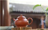 武汉茶艺师培训班