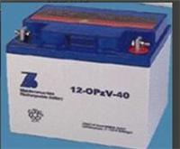 ZINSCHE蓄电池12-opzv-40厦门办事处
