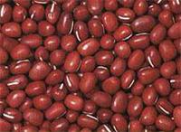 虎林八五四农场红豆种植销售厂家