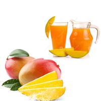 加工定制 小型芒果汁饮料生产线工艺
