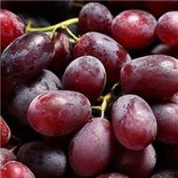 供应红提葡萄|葡萄批发价格|供应红提