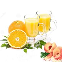 教学用橙汁饮料生产线