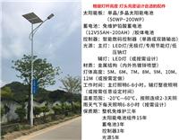 LED30瓦太阳能路灯 火炬小金豆 道路亮化工程