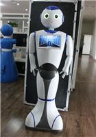 商业机器人定制设计服务北京伊娃机器人价格