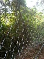 安平边坡防护网.钢丝防护网加工.被动防护网配件