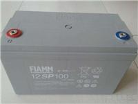 FIAMM非凡蓄电池12SP100价格及参数规格