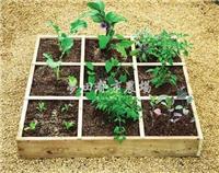 一米菜园定制-一米菜园种植箱供应-一米菜园土壤批发