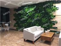 家庭定制植物墙,室内植物墙,家庭植物墙定制,北京植物墙公司