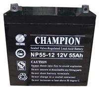 CHAMPION蓄电池NP65-12/12V65AH我们更专业