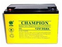 CHAMPION蓄电池NP90-12代理商