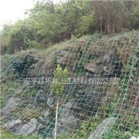 贵州盘县 植物攀爬网护山边坡绿化网 绿色钢塑土工格栅生产厂家
