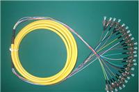 FC电信级12芯单模束状尾纤各种接口光纤跳线ODF尾纤