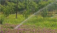 石家庄供应进口雨鸟5004园林灌溉地埋旋转喷头草坪浇水喷淋