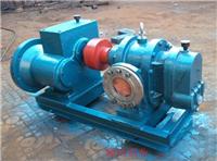 源鸿泵业供应LC18-0.6罗茨泵，高粘度多齿泵，不锈钢齿轮泵