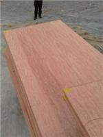 包装板胶合板杨木板多层板15mm厚