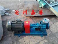 厂家生产32-32-160 RY导热油泵系列 高温热油泵 沧州嘉睿泵业