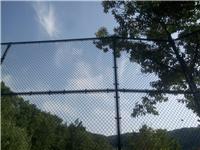 济南体育场围网  网孔尺寸定做 篮球场围网