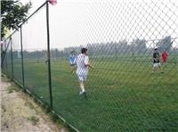笼式足球场护栏网￥学校笼式足球场地围护网￥笼式篮/足球场地围网厂家