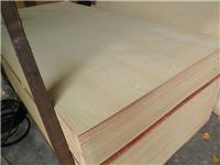 漂白胶合板 漂白杨木板 包装板 多层板