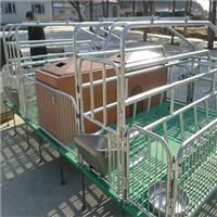 利祥农牧专业生产销售母猪产床 母猪定位栏 保育床价格低售后完善