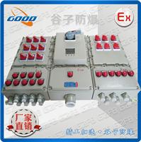 BXM D）-10/K125A 十回路防爆电箱 带漏电塑壳开关 Exd 非标配电箱