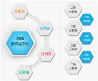 河南焦作三級分銷系統模式開發