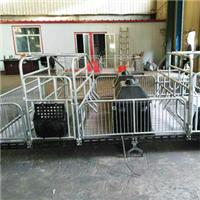 沧州利祥农牧养猪设备厂促销各种新型母猪产床，单体双体漏粪板猪用产床