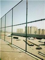 天津运动场围网 篮球场围网 围网颜色选择