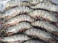 厦门冻虾进口报关国外需要办理哪些资料丨如何办理