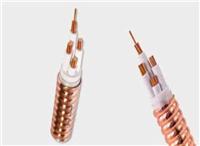 绝缘矿物质电缆批发-防火矿物质电缆价格-柔性矿物质电缆