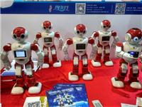 2018北京科博会之机器人展览会