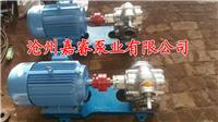嘉睿泵业供应LC18/0.6罗茨泵 不阻塞铸铁卧式电动罗茨油泵