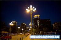 泉州市公园LED景观灯专业定制